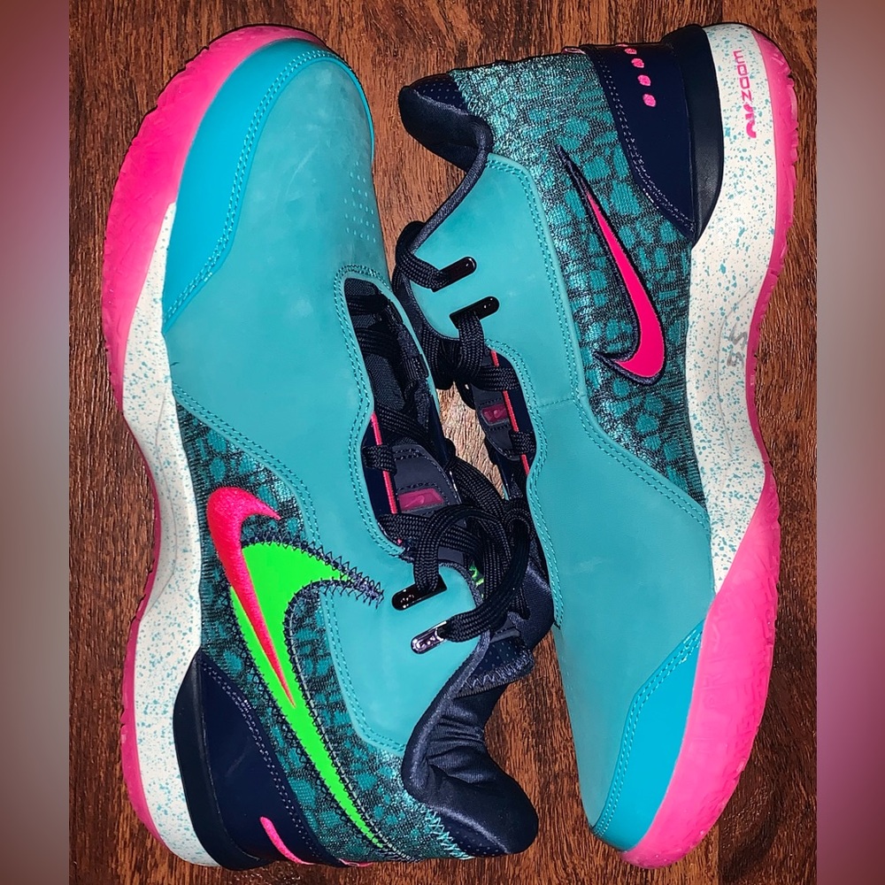 Nike LeBron size 11